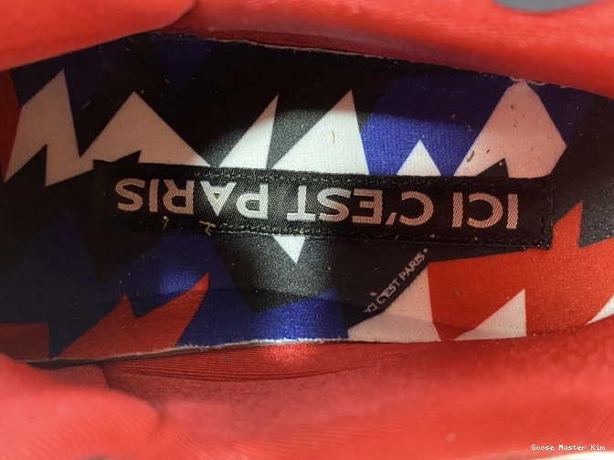 Jordan PSG 7 CZ0789-105 Air 0529